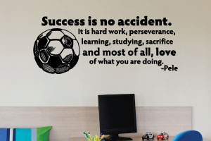 perseverance sports quotes