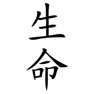 chinese symbol for live