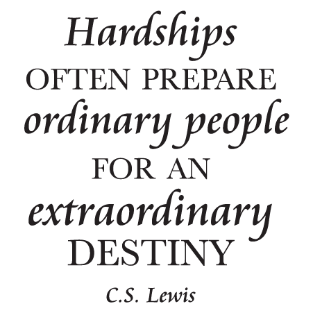 Extraordinary Destiny Wall Quotes™ Decal | WallQuotes.com